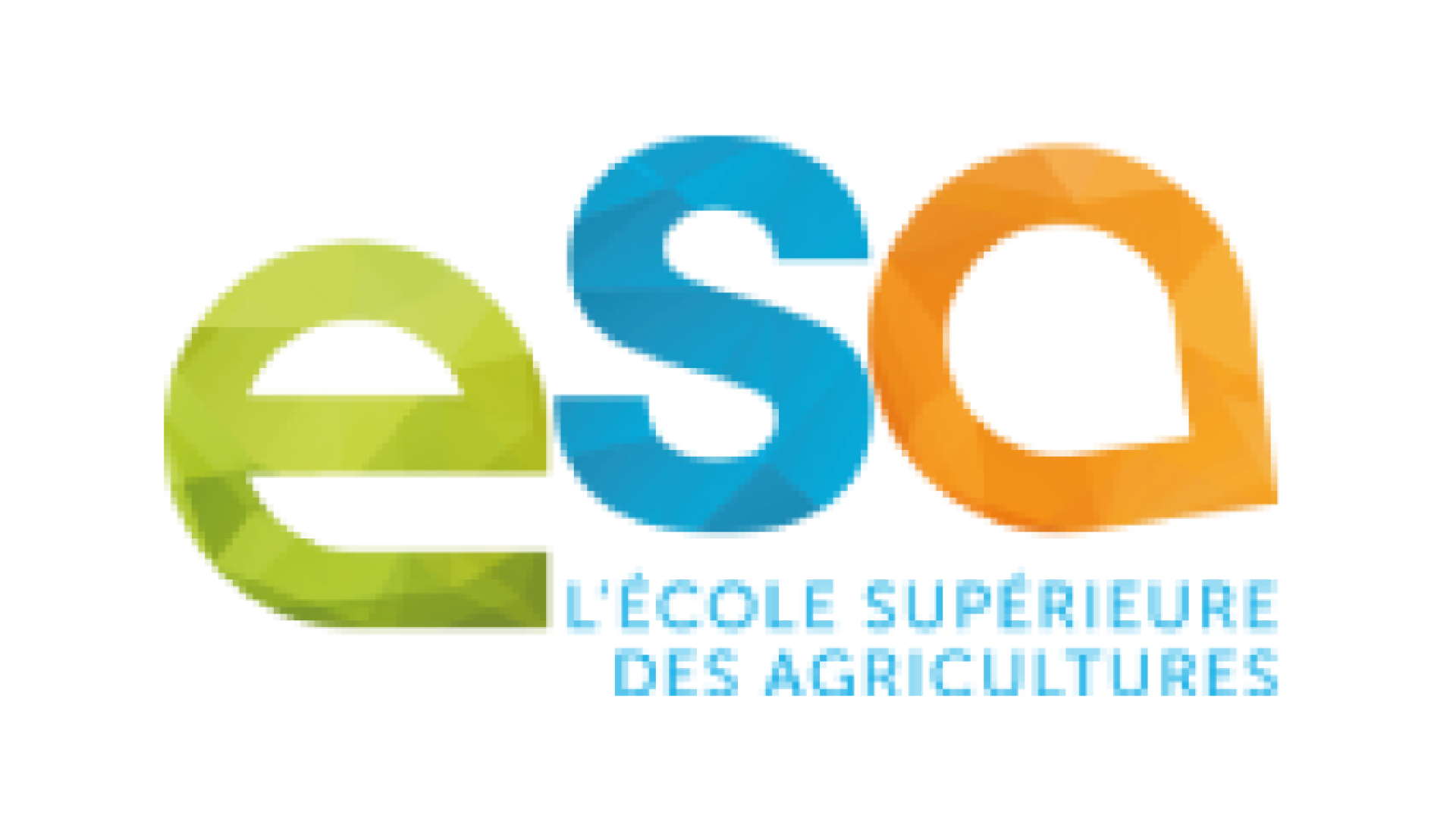 logo esa angers