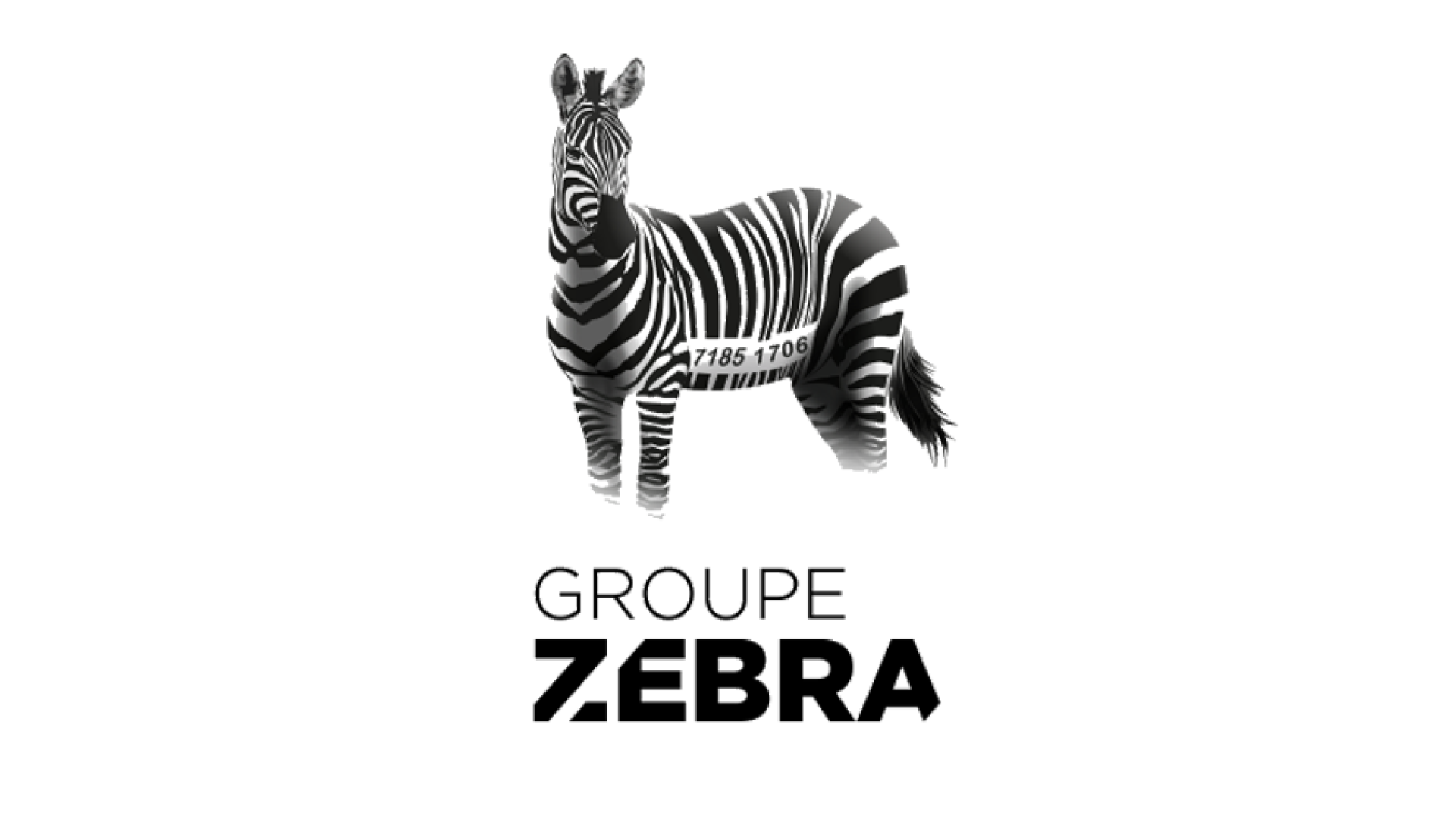 Groupe Zebra