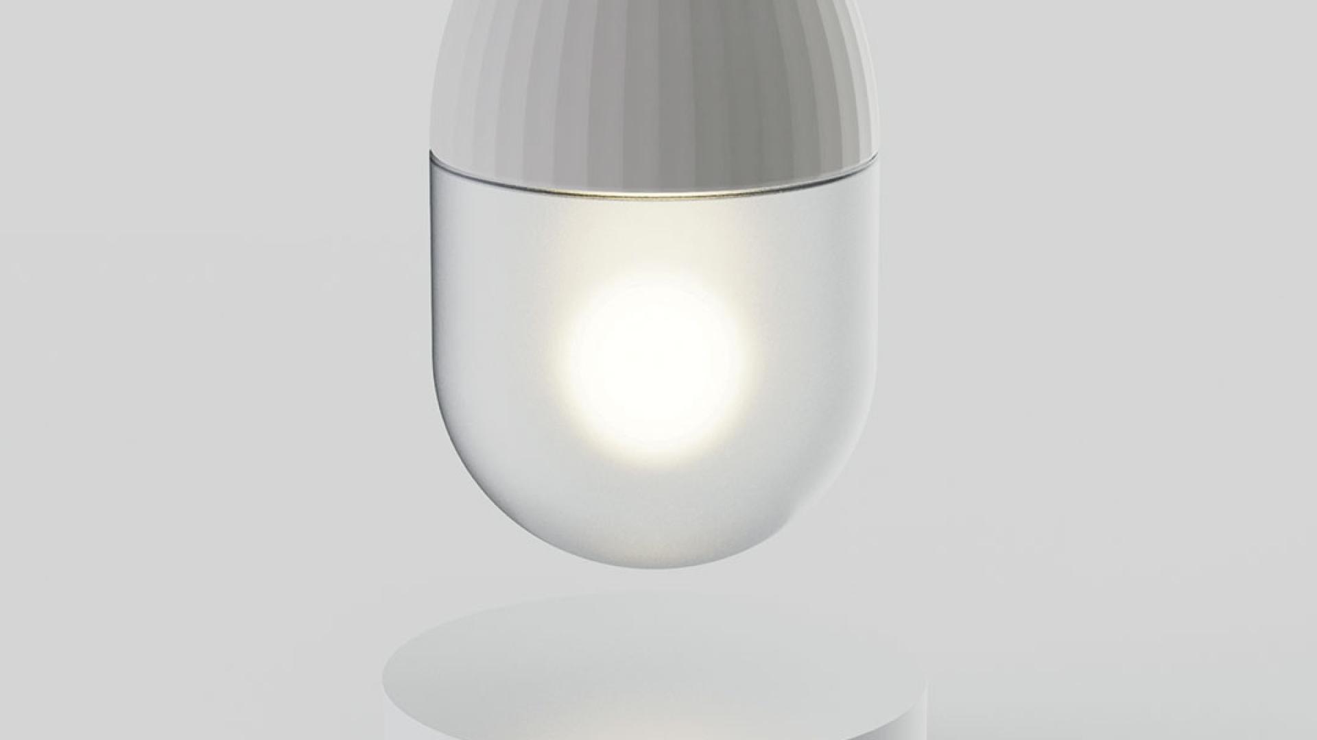 Capsule vocale