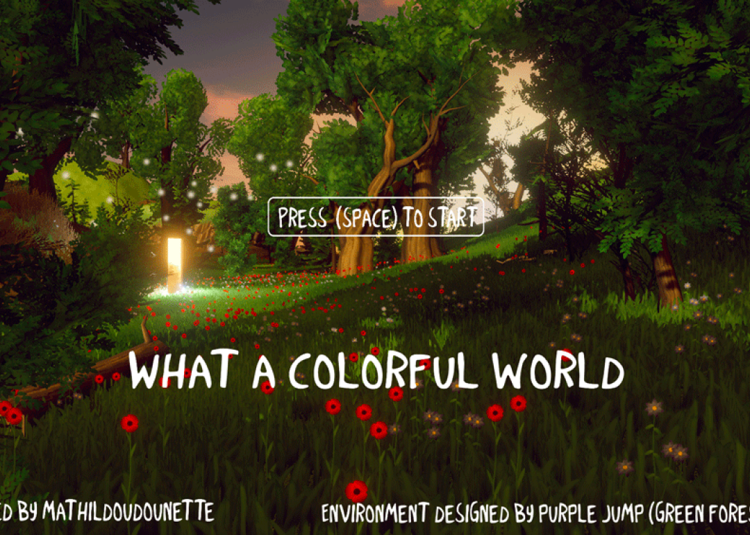 projet-what-a-colorful-world_bachelor-uiux-design