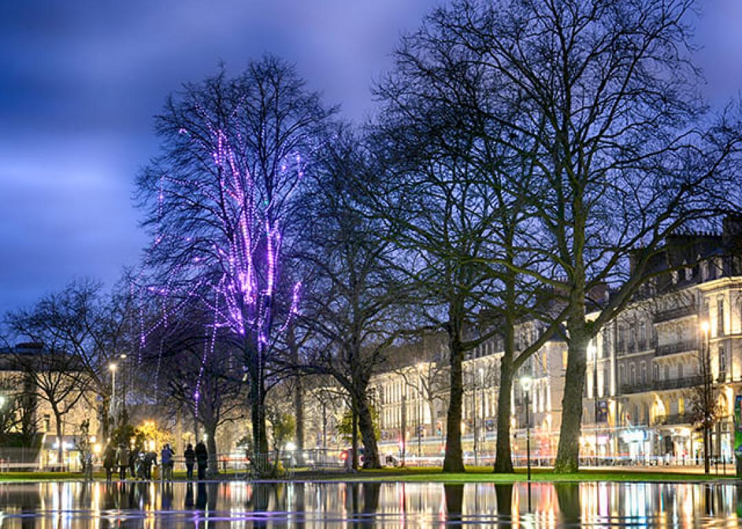 l’Arbre à Vœux en face du Château des Ducs de Bretagne Nantes